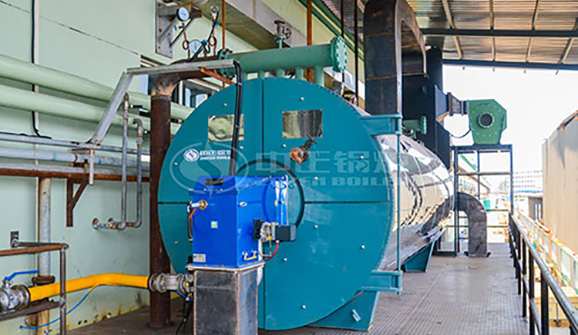 厭氧產沼氣燒鍋爐