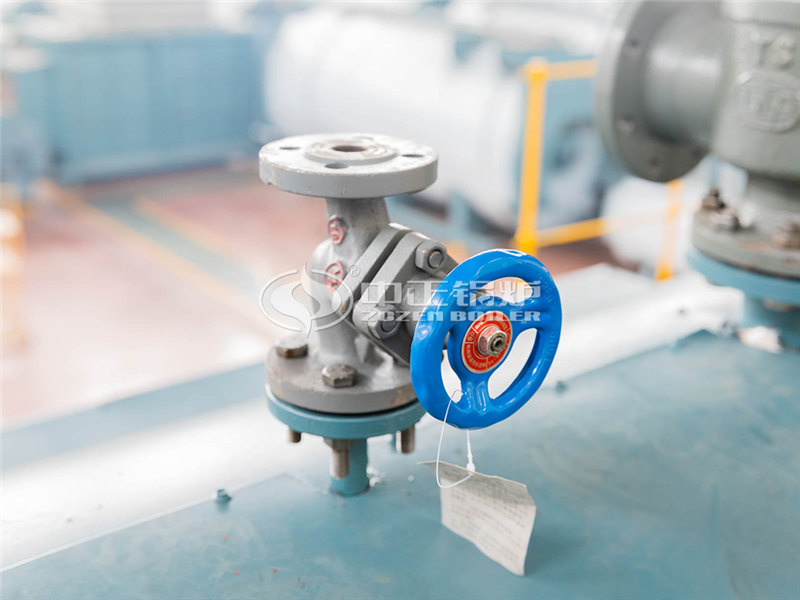 200萬(wàn)大卡燃生物質(zhì)導(dǎo)熱油鍋爐多少錢合適