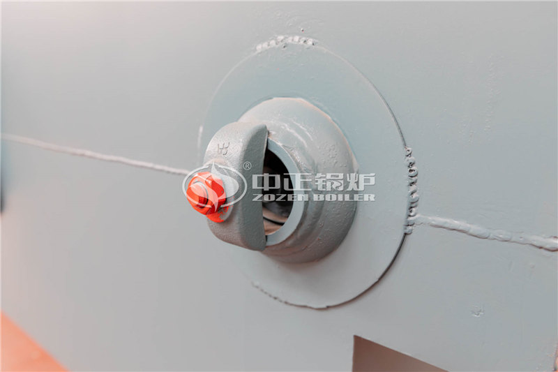 15T燃生物質導熱油爐生產(chǎn)廠家