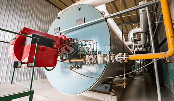 五噸生物質鍋爐