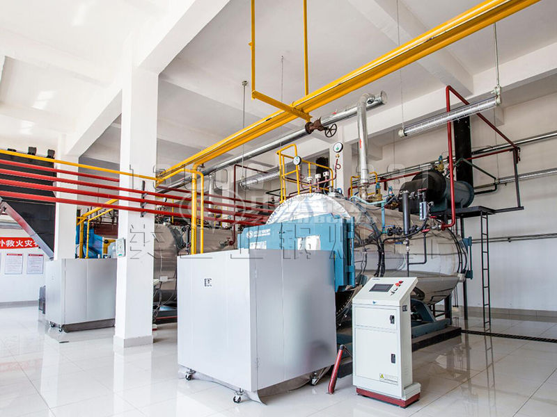 生物質蒸汽鍋爐